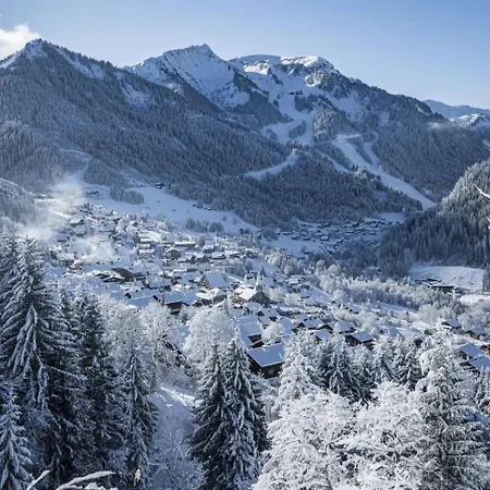 Petit Savoyard Py6 Cosy & Mountain 4 Pers Apartment *