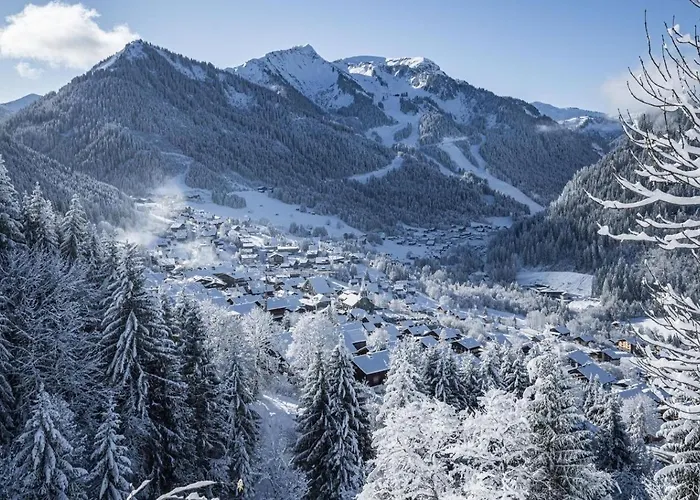 Petit Savoyard Py6 Cosy&mountain 4 Pers Appartement *