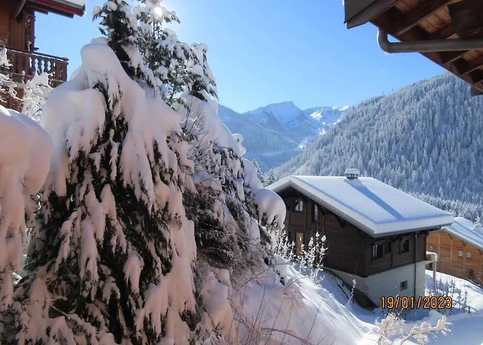 Appartement Petit Savoyard Py6 Cosy&mountain 4 Pers Châtel